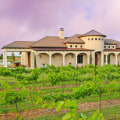 Discovering the Best Local Wineries at Wine Festivals in Rockwall, TX